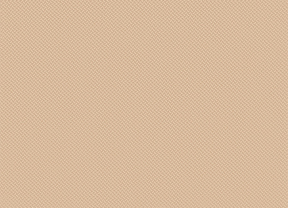 Блитц Беж Вр3.02 Блитц Беж Вр3.02